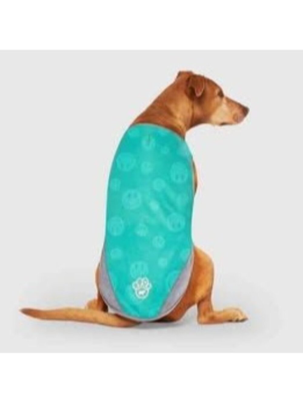 NEW Chill Seeker Dog Cooling Vest Wet Reveal Size 22